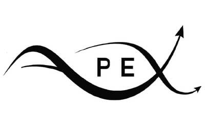 Apex logo